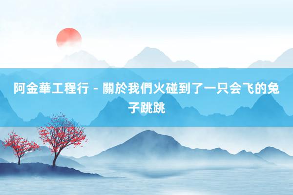 阿金華工程行 - 關於我們火碰到了一只会飞的兔子跳跳