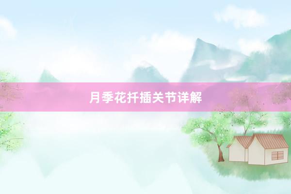 月季花扦插关节详解