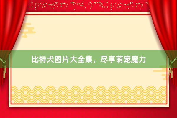 比特犬图片大全集，尽享萌宠魔力